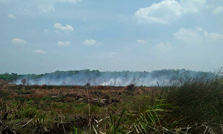 Memicu di kebakaran gambut satu lahan indonesia salah adalah yang fenomena Mengapa Kebakaran