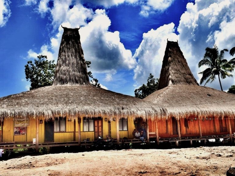 Rumah Alami Adat Sumba Semakin Sulit Dibangun, Kenapa? - Mongabay.co.id