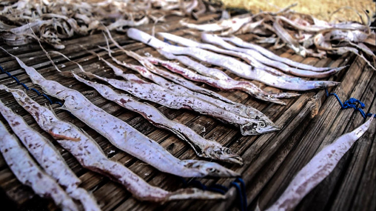 Potret “Kecemasan” Nelayan Bagan di Sungai Banyuasin - Mongabay.co.id