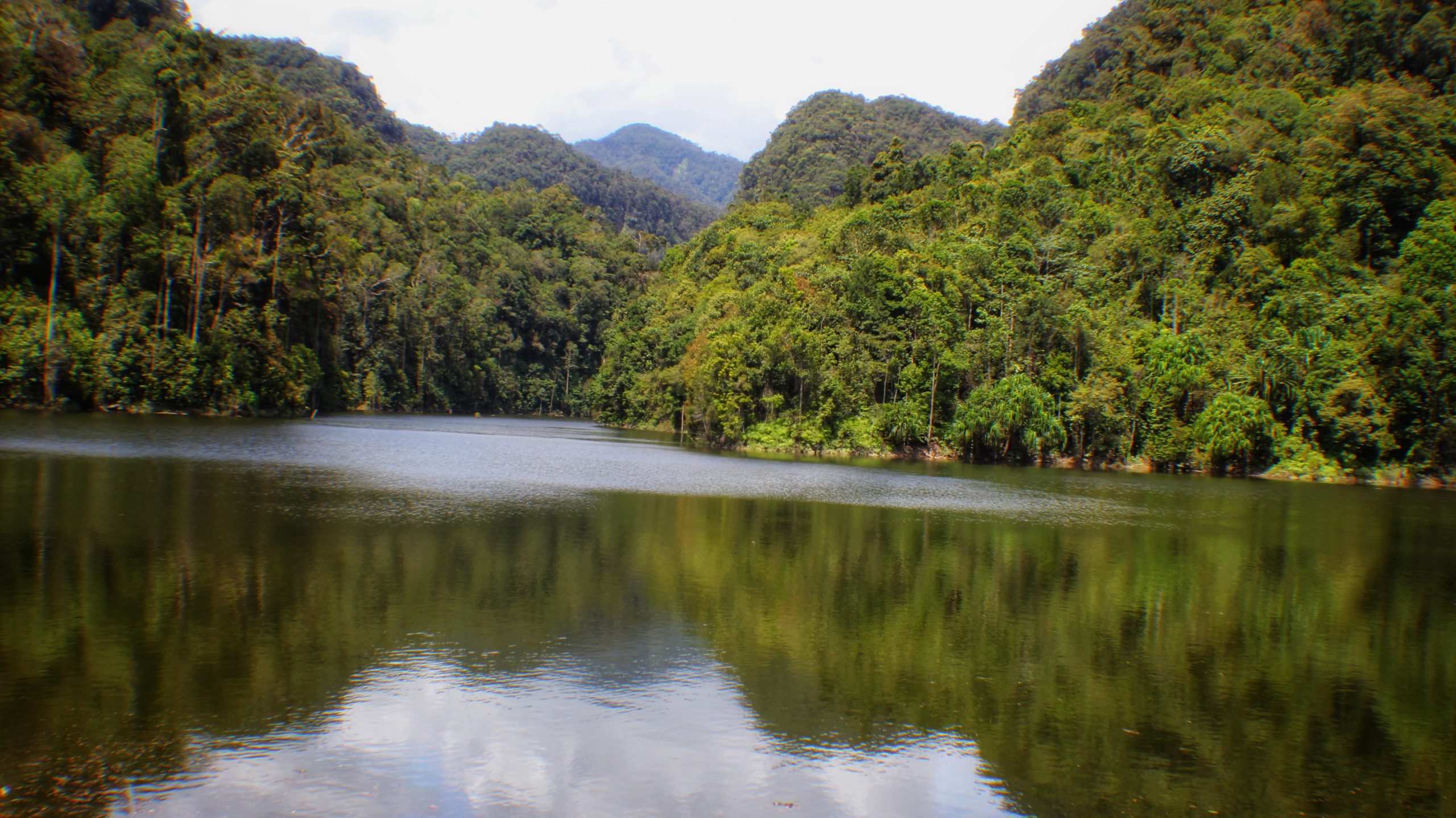 Ekosistem Batangtoru, kaya keragaman hayati. Foto: Ayat S Karokaro/ Mongabay Indonesia