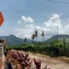 Gunung Salakan, dari kejauhan dan papan penunjuk arah untuk evakuasi tsunami dari Dusun Pancer. Warga Pancer begitu khawatir kala gunung tempat mereka menyelamatkan diri kala tsunami bakal jadi wilayah tambang emas. Foto: RZ Hakim/ Mongabay Indonesia
