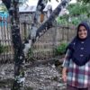 Heni Herawati, aktif mengajak para perempuan ikut terlibat aktif dalam setiap program di desa itu, baik penghijauan, menanam kayu, pelatihan mengelola tanaman kopi dan lain-lain. Foto: Indra Nugraha/ Mongabay Indonesia