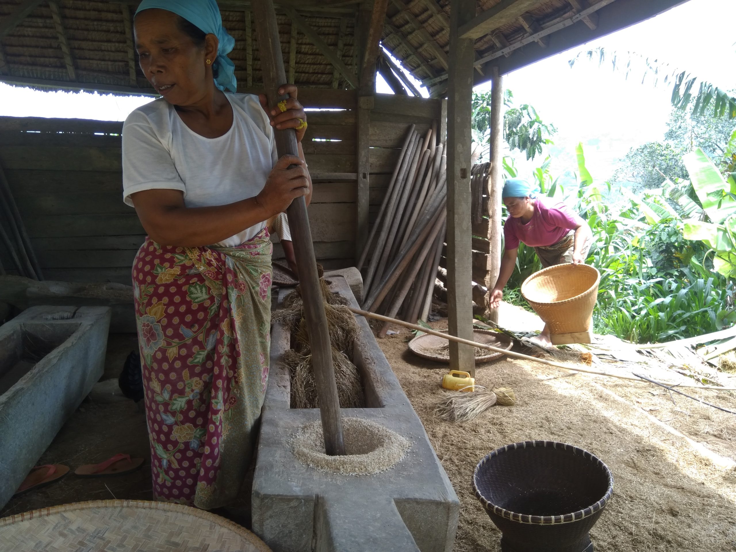 Perempuan Kasepuhan Ciptagelar, sedang menumbuk padi. Foto: Della Syahni/ Mongabay Indonesia