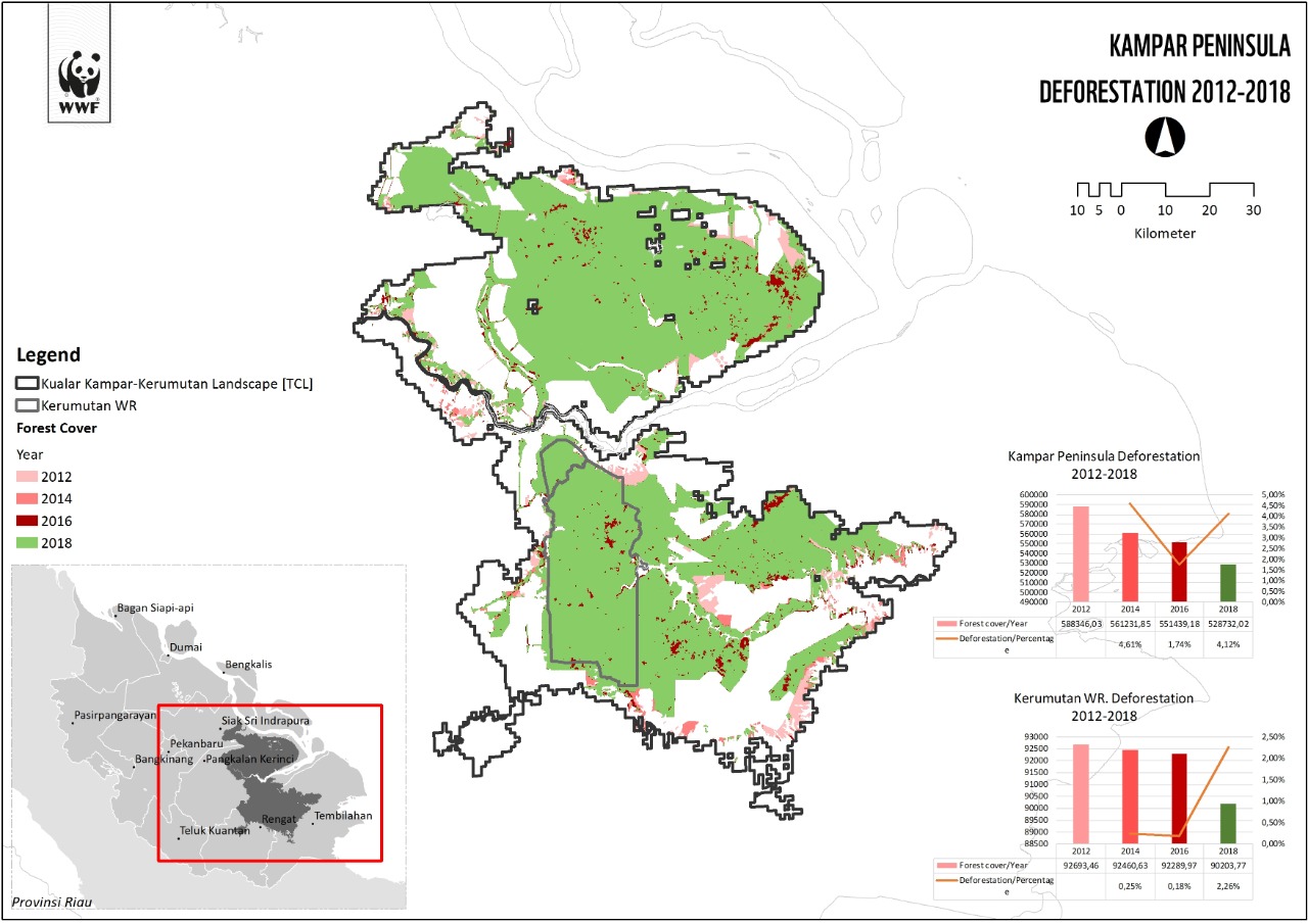Berdasarkan monitoring perubahan tutupan hutan yang terlihat dari citra satelit di Semenanjung Kampar dan Kerumutan dari tahun 2012 hingga 2018, kawasan ini masih mengalami penurunan tutupan hutan. Penurunan paling drastis terjadi di Semenanjung Kampar dari periode 2016 ke 2018, dengan laju sebesar 4.12%. Sumber: WWF Indonesia