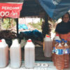 Minyak Mandar, dijual di tepi jalan. Foto: Agus Mawan/ Mongabay Indonesia