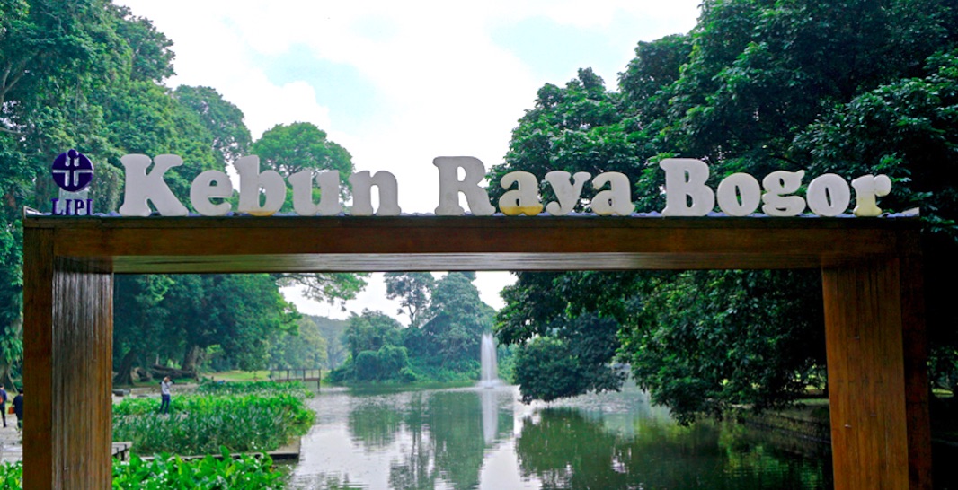 Kebun Raya Dan Pentingnya Pelestarian Keanekaragaman Hayati Mongabay Co Id Mongabay Co Id