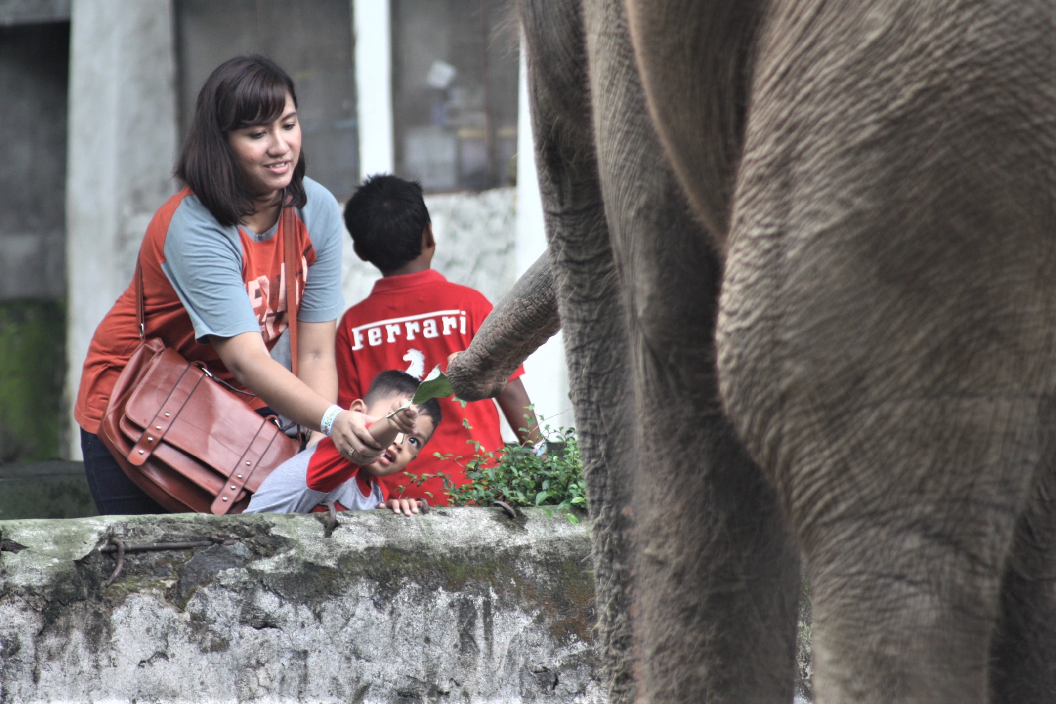 Pengunjung berinteraksi dengan gajah di Gembira Loka Zoo, sebelum pandemi. Foto: Nuswantoro/ Mongabay Indonesia