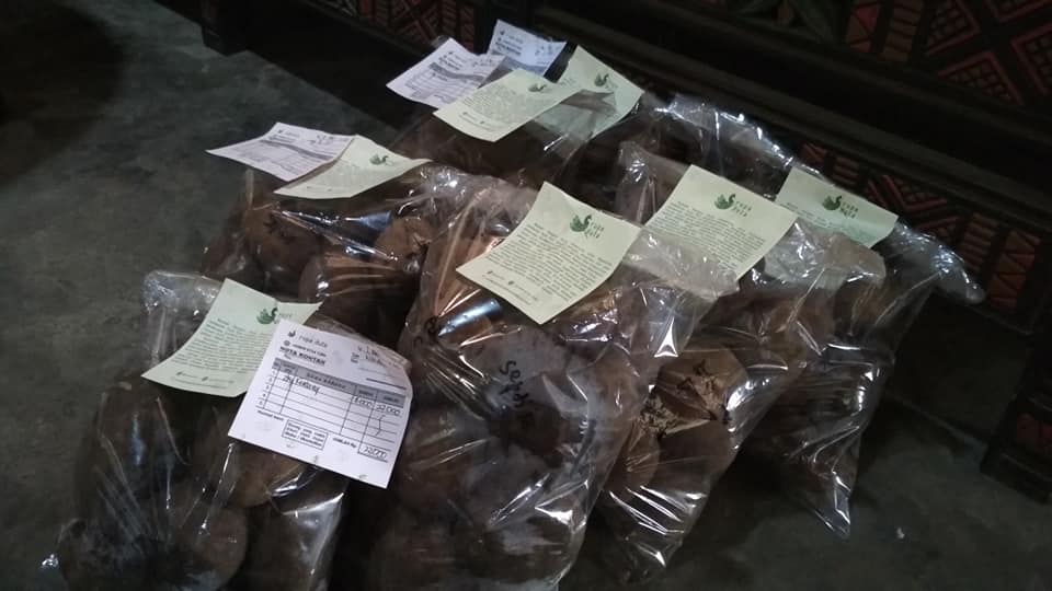 Rupa Duta memasarkan kentang hasil produk pertanian warga Ranupani, Lumajang. Foto : Eko Widianto/ Mongabay Indonesia