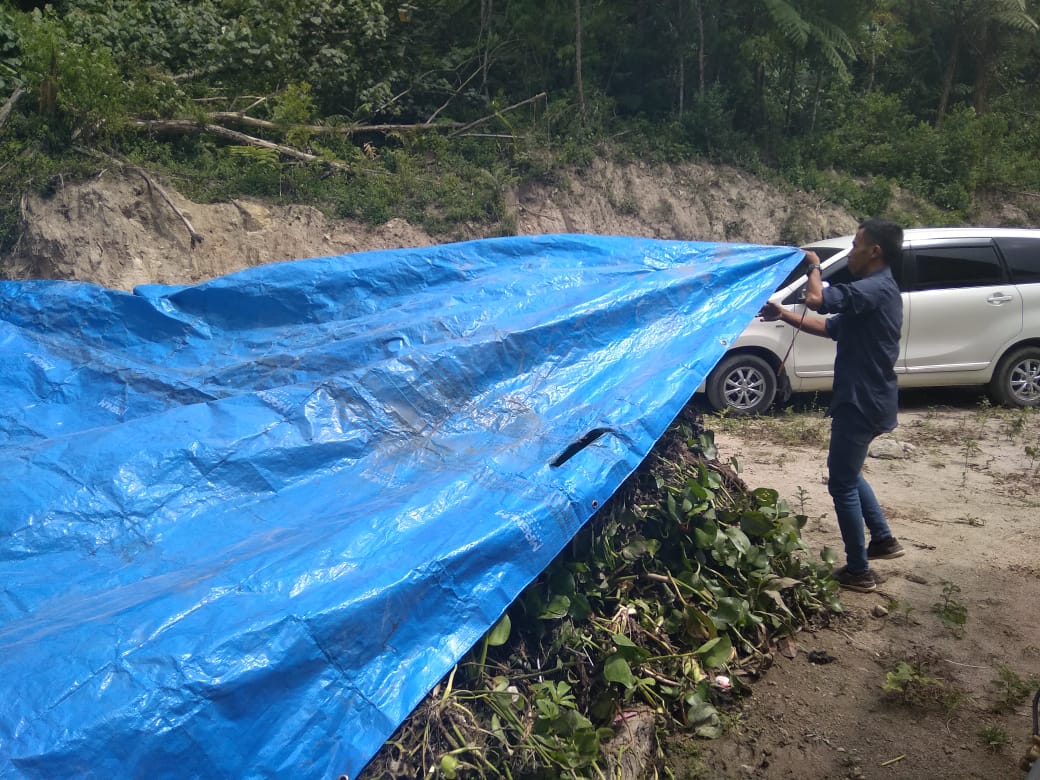 Proses pembuatan kompos dari eceng gondok. Foto: Barita News Lumbanbatu/ Mongabay Indonesia