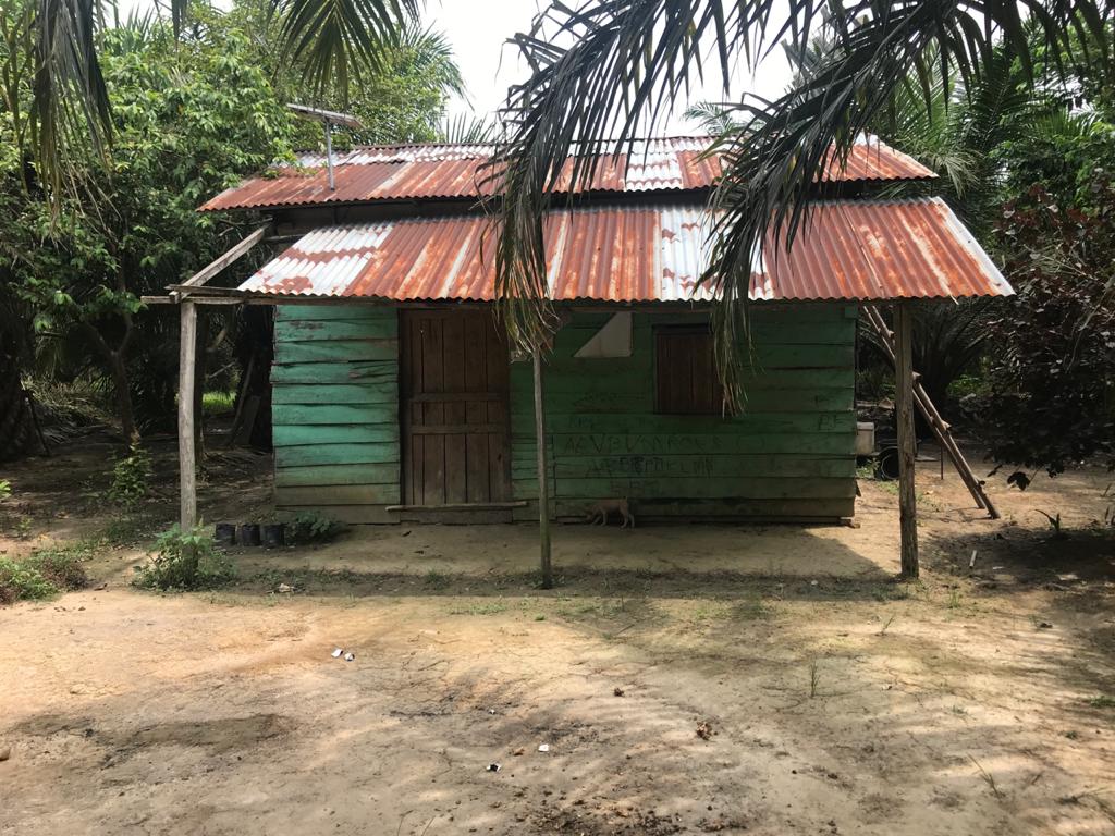 Rumah sewa Bongku, tak jauh dari tempat dia mau tanam ubi, yang dituduhkan telah menebang banyak eukaliptus dan akasia. Foto: Walhi Riau