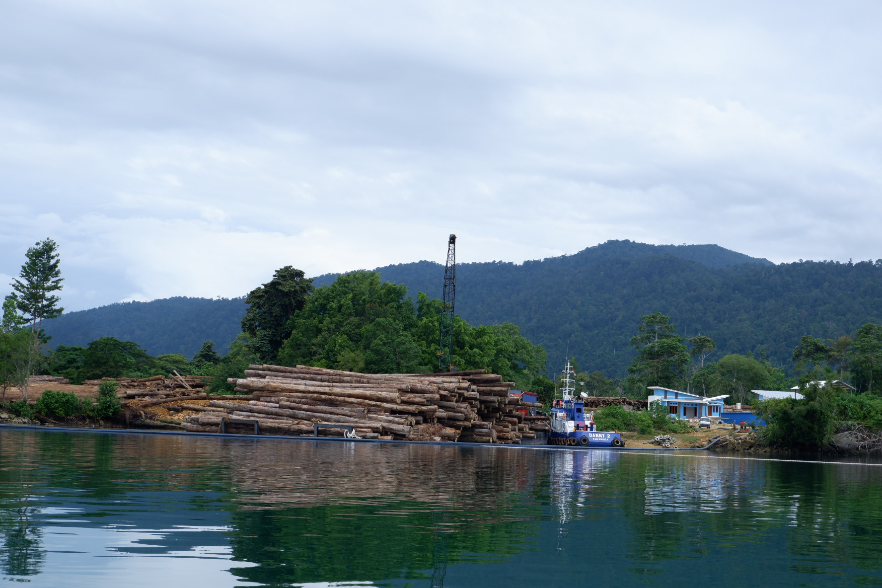 Log pound perusahaan di karst Sangkuriang-Mangkaliat, Kecamatan Biduk-biduk, Kaltim. Foto: Mega