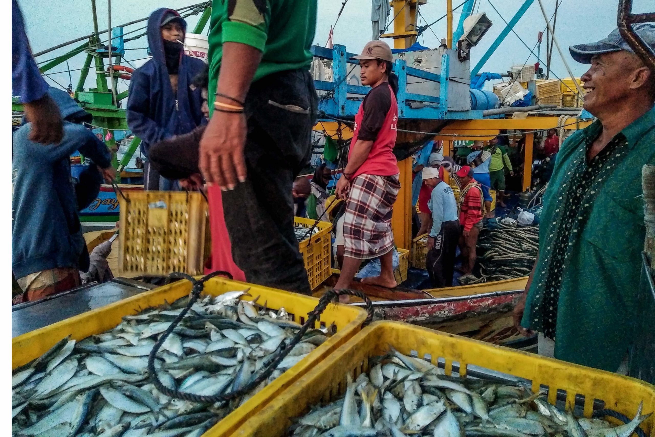 Jaring Alat Tangkap Ikan Nelayan, Harga Naik Tapi Kualitas
