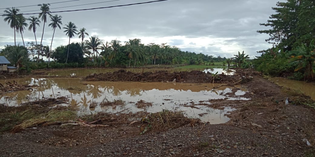 Banjir di Kelurahan Suli, Luwu. Foto: Adiyatma Syibil