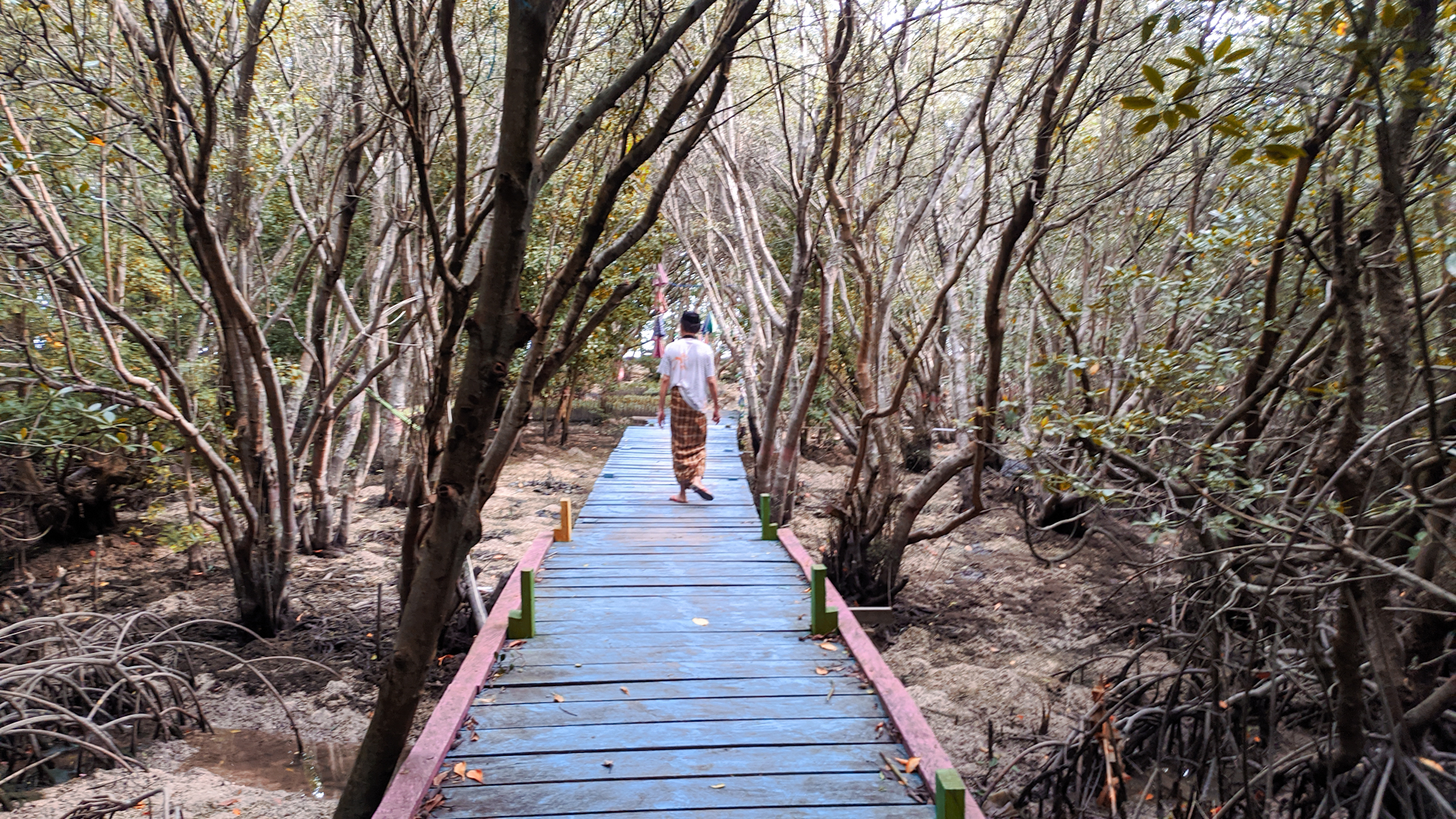 Jembatan menuju hutan mangrove Baluno. Foto: Agus Mawan/ Mongbay Indonesia