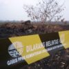 KLHK segel konsesi perusahaan terbakar di Muara Jambi, pada 2019. Foto: Yitno Suprapto/ Mongabay Indonesia