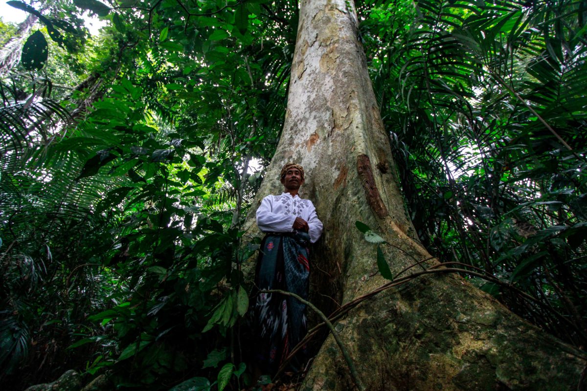 Konsep Lestarikan Alam dalam Adat Kampung Kuta - Mongabay.co.id