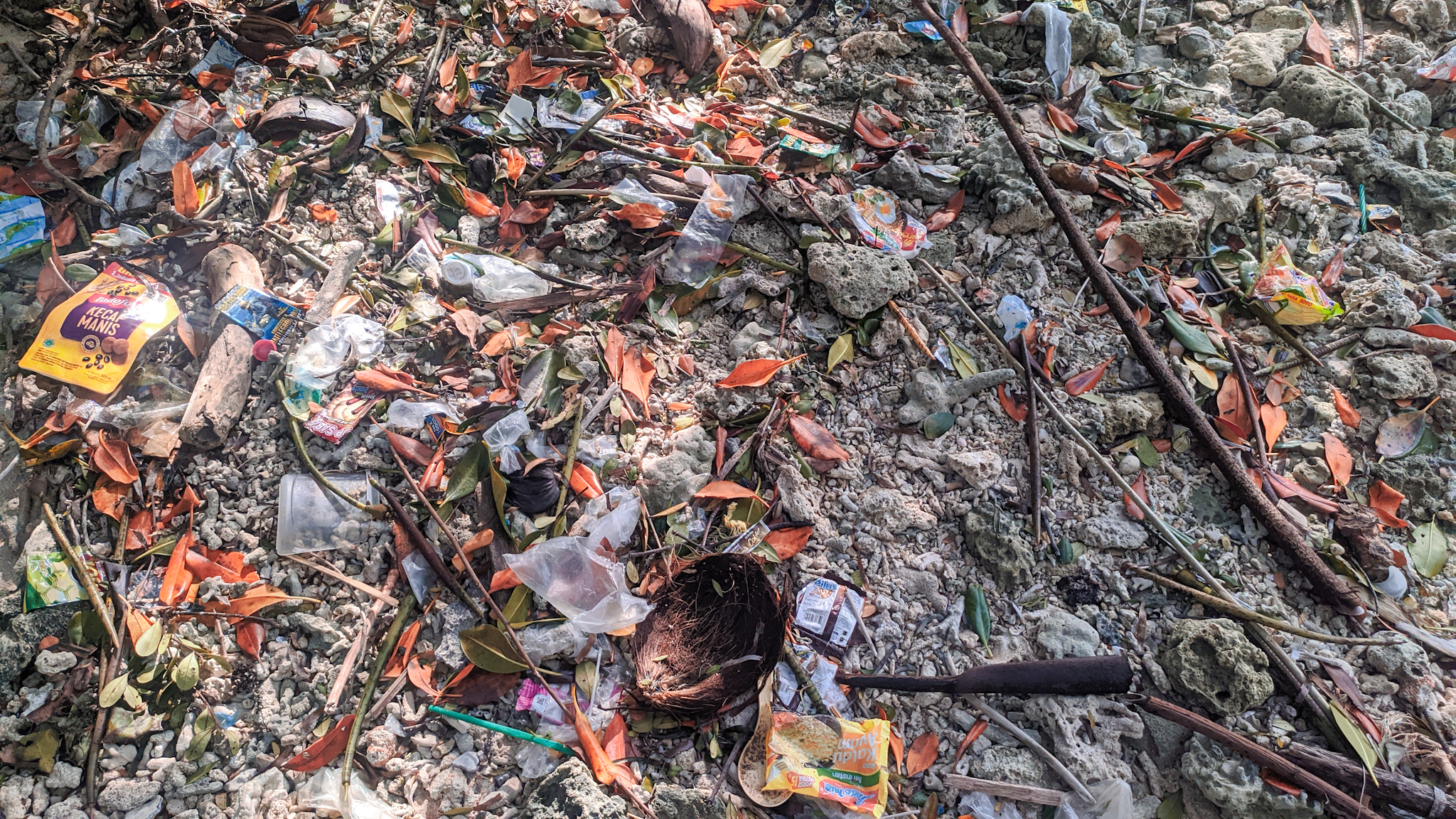 Sampah di lalut di sekitar mangrove. Foto: Agus mawan/ Mongabay Indinesia