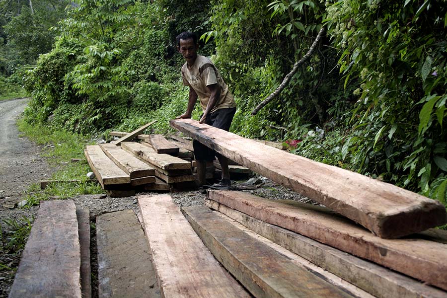  Foto  Kayu kayu Ilegal dari  Hutan Ulu Masen Mongabay co 
