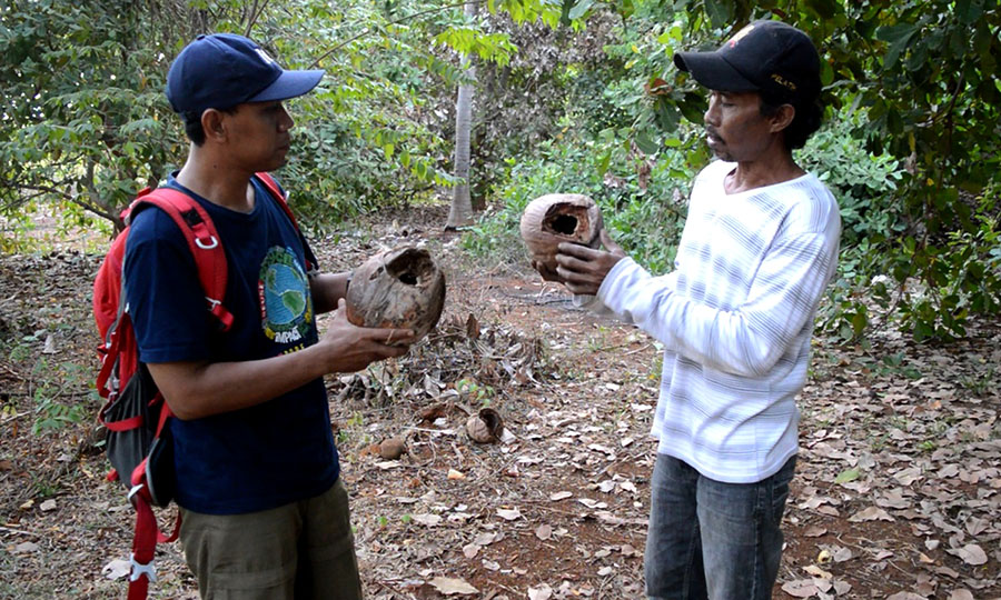 Konservasi dan Ekowisata Kakatua Jambul  Kuning di Pulau 
