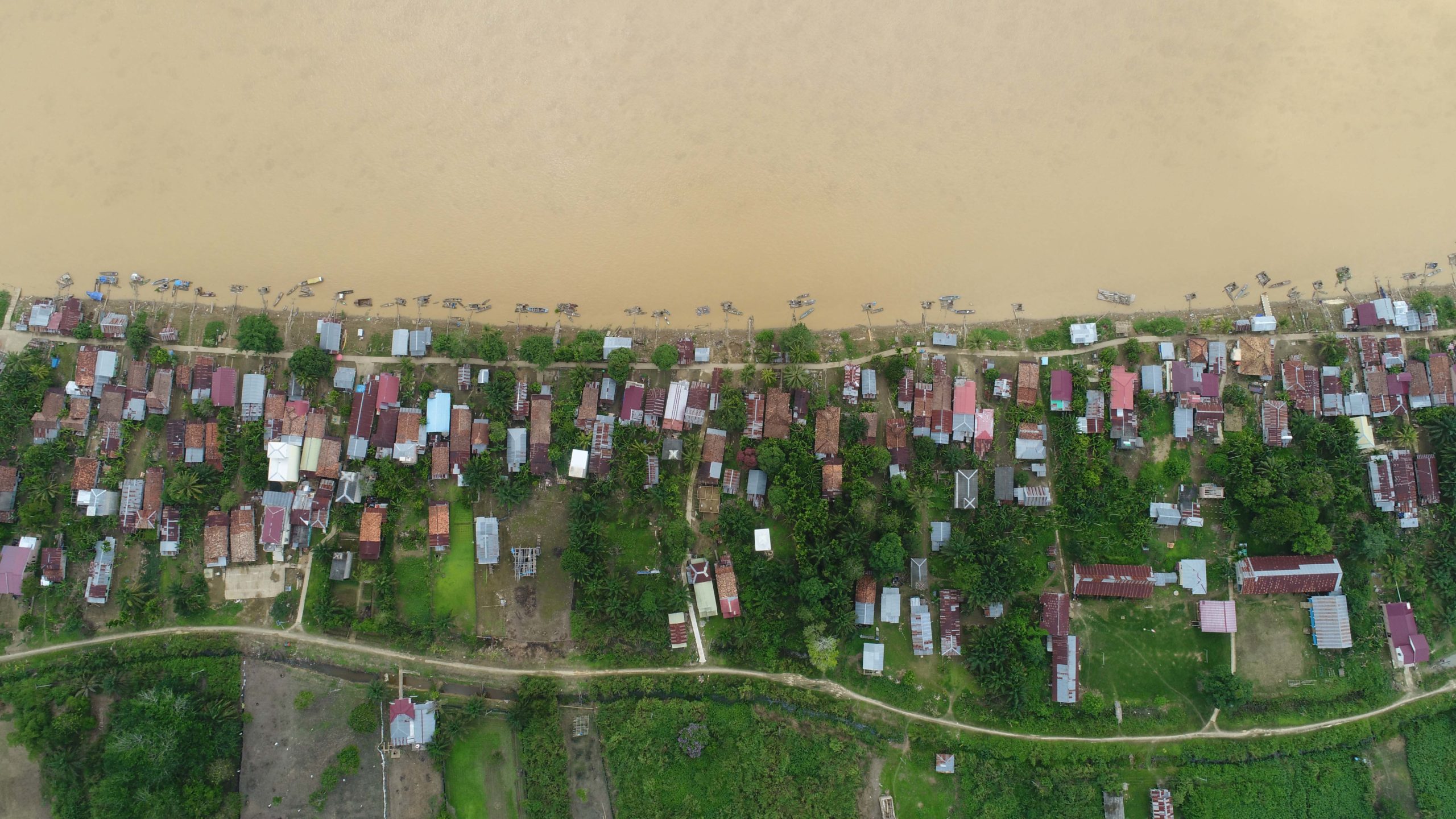 Desa Rukam, lahan tersisa di pinggiran sungai, yang lain sudah jadi konsesi perusahaan skala besar. Foto: ELviza Diana/ Mongabay Indonesia