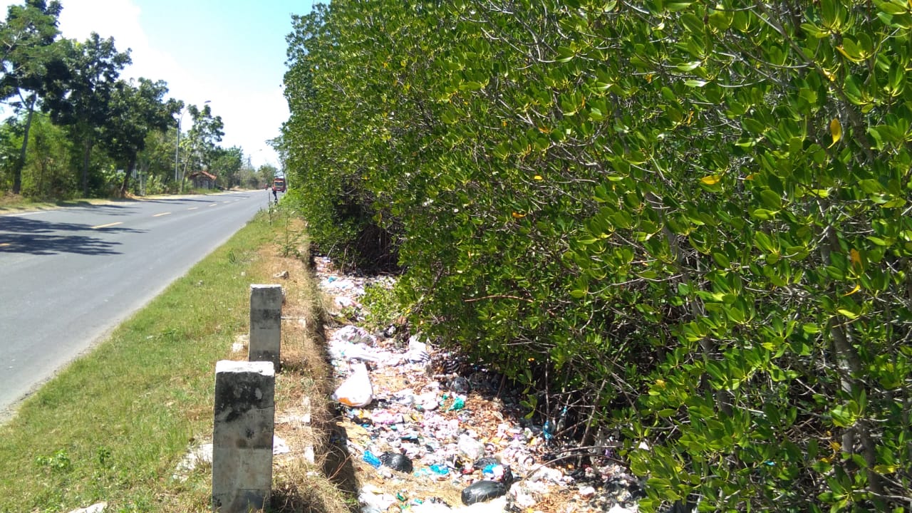 Sampah plastik penuhi tepian pohon mangrove di Madura. Foto: Gafur Abdullah/ Mongabay Indonesia