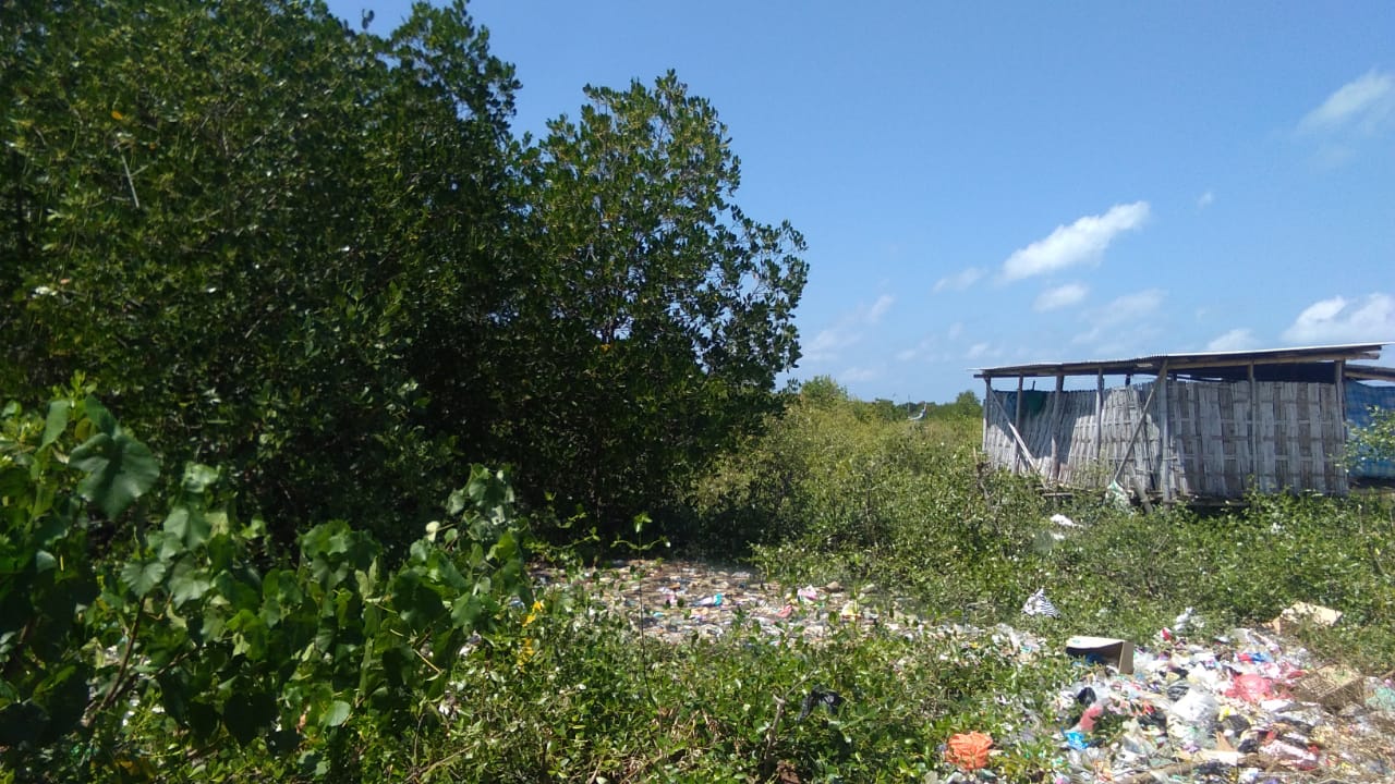 Sampah banyak di pesisir pantai, mangrove pun antara lain jadi korban. Foto: Abdul Gafur/ Mongabay Indonesia
