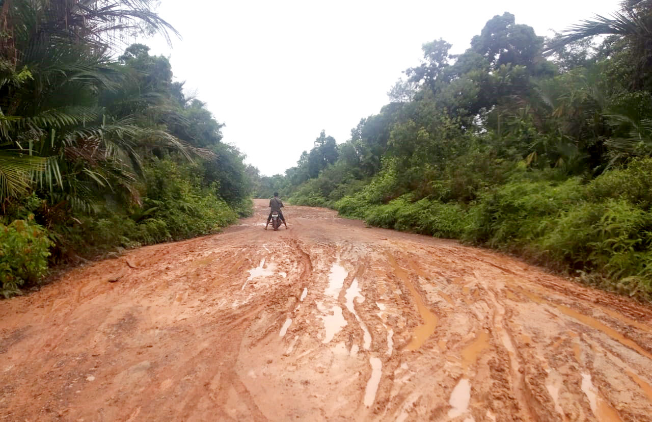 Jalan dari Desa Linau ke Sambau, Lingga. Kedua desa ini sudah ada izin kebun sawit belasan ribu hektar. Foto: Yogi Eka Sahputra /Mongabay Indonesia