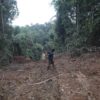 Hutan adat Kinipan, yang tumpang tindih dengan perusahaan sawit. Foto: Save Kinipan