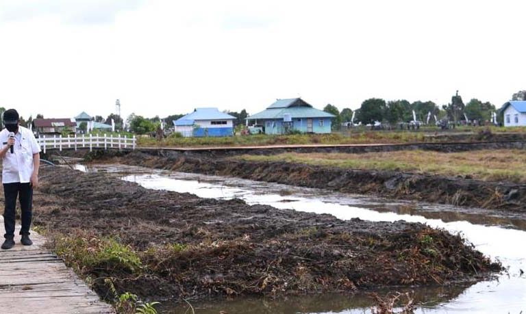 Presiden Joko Widodo, memantau wilayah yang akan jadi food estate di Kalteng. Foto: Laily Rachev - Biro Pers Sekretariat Presiden