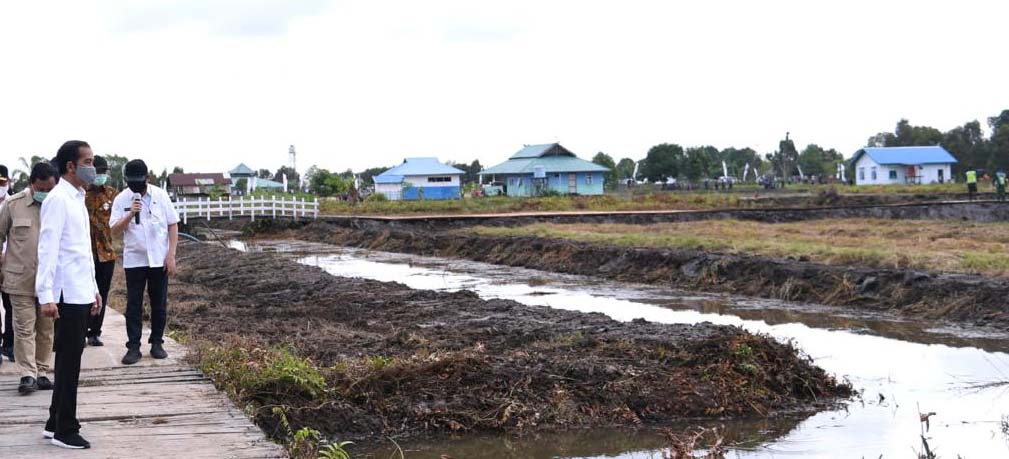 Presiden Joko Widodo, memantau wilayah yang akan jadi food estate di Kalteng. Foto: Laily Rachev - Biro Pers Sekretariat Presiden