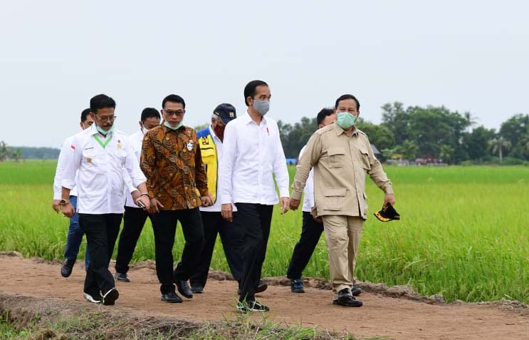 Presiden Joko Widodo dan rombongan kala meninjau lokaso food estate di Kalimantan Tengah. Foto: Laily Rachev - Biro Pers Sekretariat Presiden