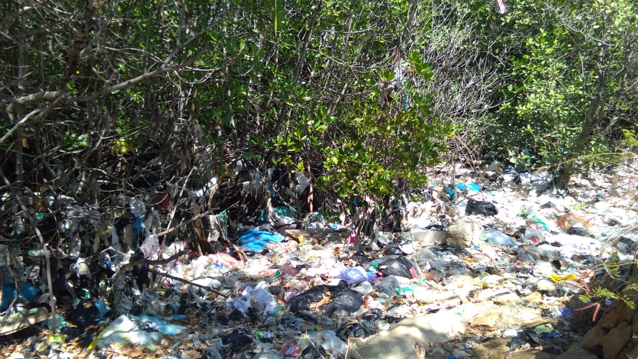 Mangrove penuh sampah di pesisir Madura. Foto: Abdul Gafur/ Mongabay Indonesia