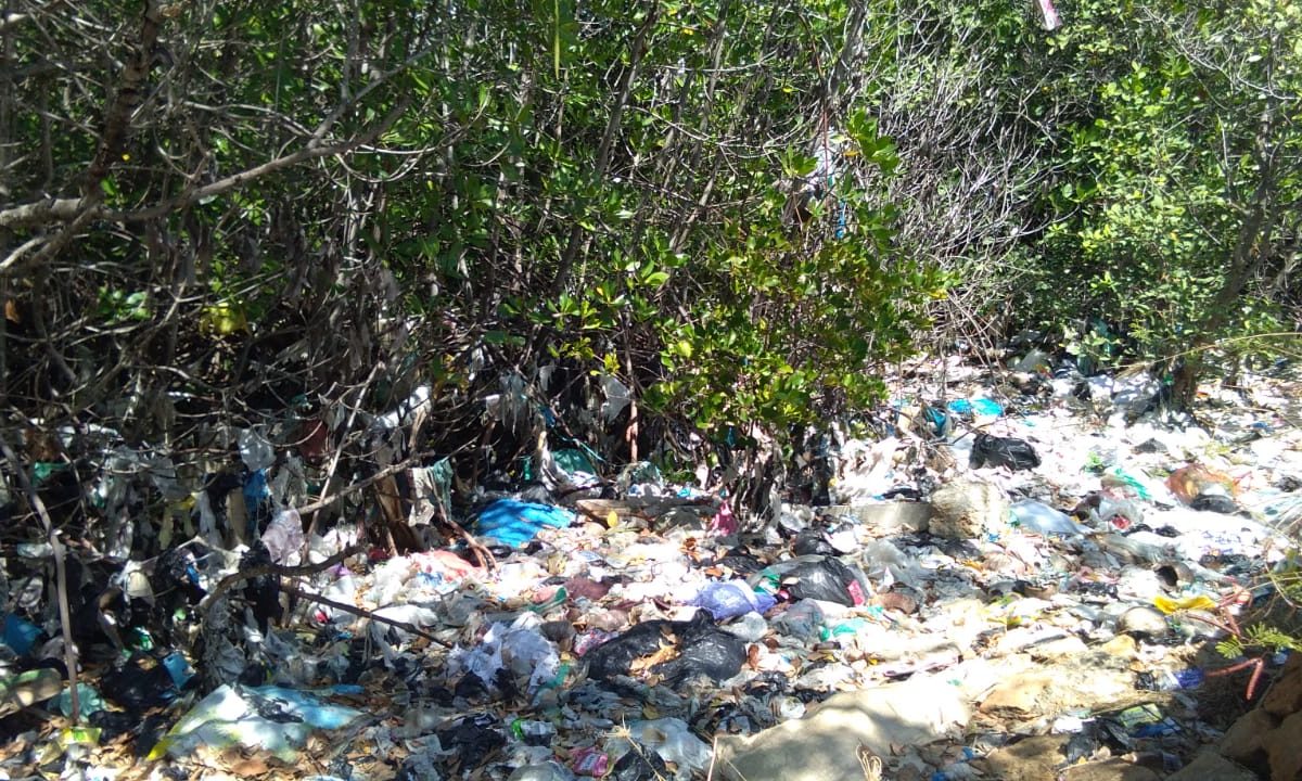 Hutan mangrove di pesisir Madura, penuh sampah. Foto: Gafur Abdullah/ Mongabay Indonesia
