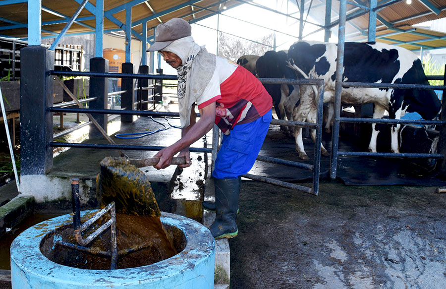 Biogas Jadi Katalisator Perbaikan Lingkungan di Desa Lereng Semeru Ini