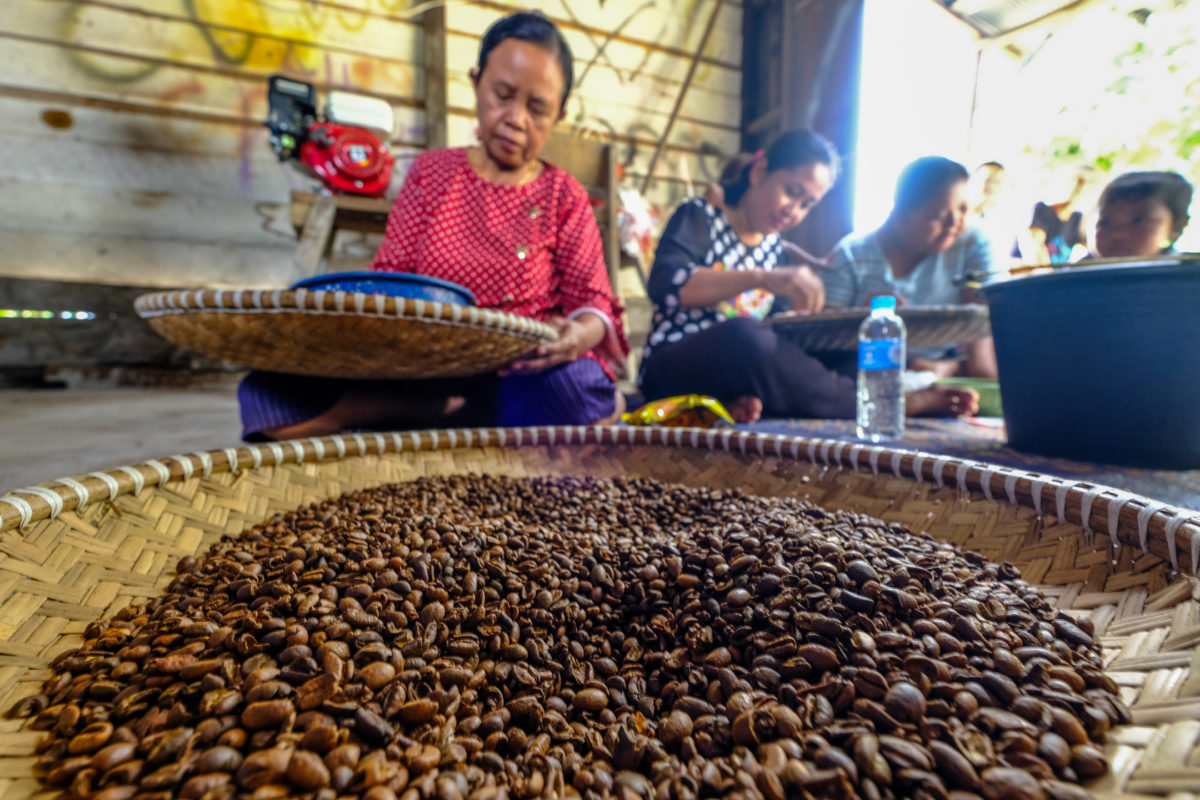 Perempuan petani kopi di Desa Gandang Barat, Kalteng. Foto: dokumentasi Kemitraan