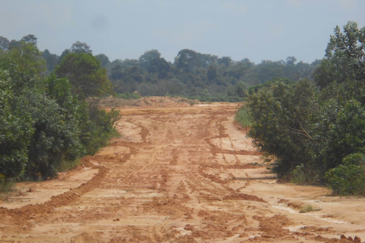  Ini sisa ruas Jalan Lingkar Barat Duri yang pekerjaan disetop karena akan membelah hutan alam tersisa di Balai Raja. Ia hanya sedikit hutan tempat gajah berlindung. Foto: Suryadi/ Mongabay Indonesia