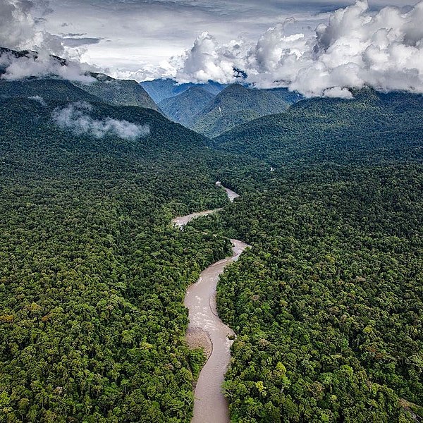 Taman Nasional Lorentz, yang juga dilalui jalan Trans Papua. Foto: Ufhii22/Wikipedia