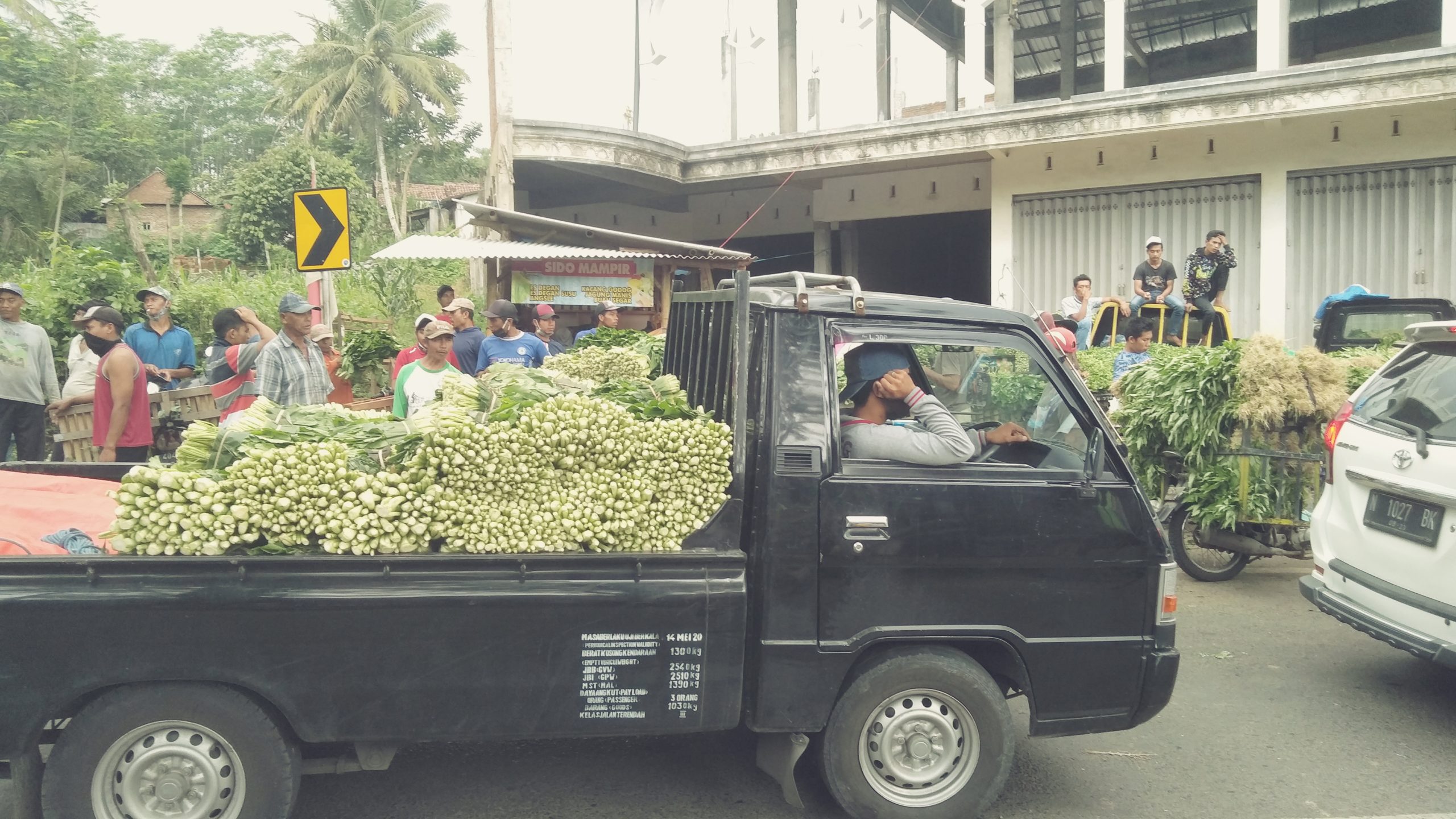 Masa pandemi, harga sayur di petani malah anjlok. Foto: Eko Widianto/ Mongabay Indonesia