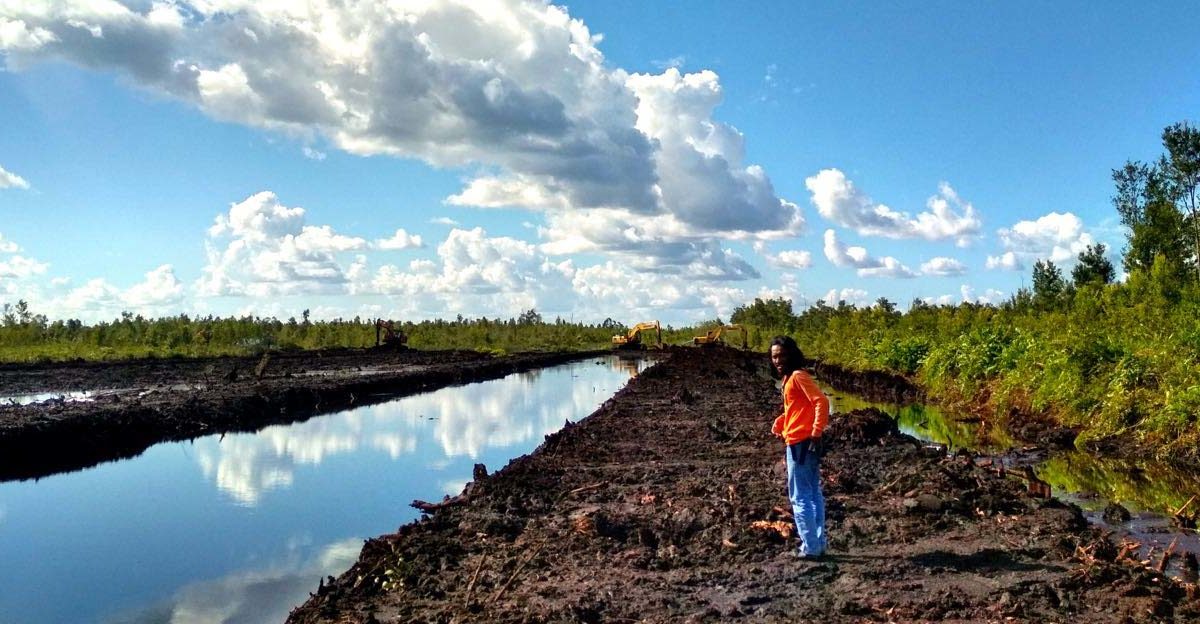 Kanal primer eks PLG di Kabupaten Pulang Pisau, Kalimantan Tengah yang ditutup secara permanen. Nantinya ditengah hanya disisakan salurah air untuk jalur transportasi warga. Foto: Indra Nugraha/ Mongabay Indonesia