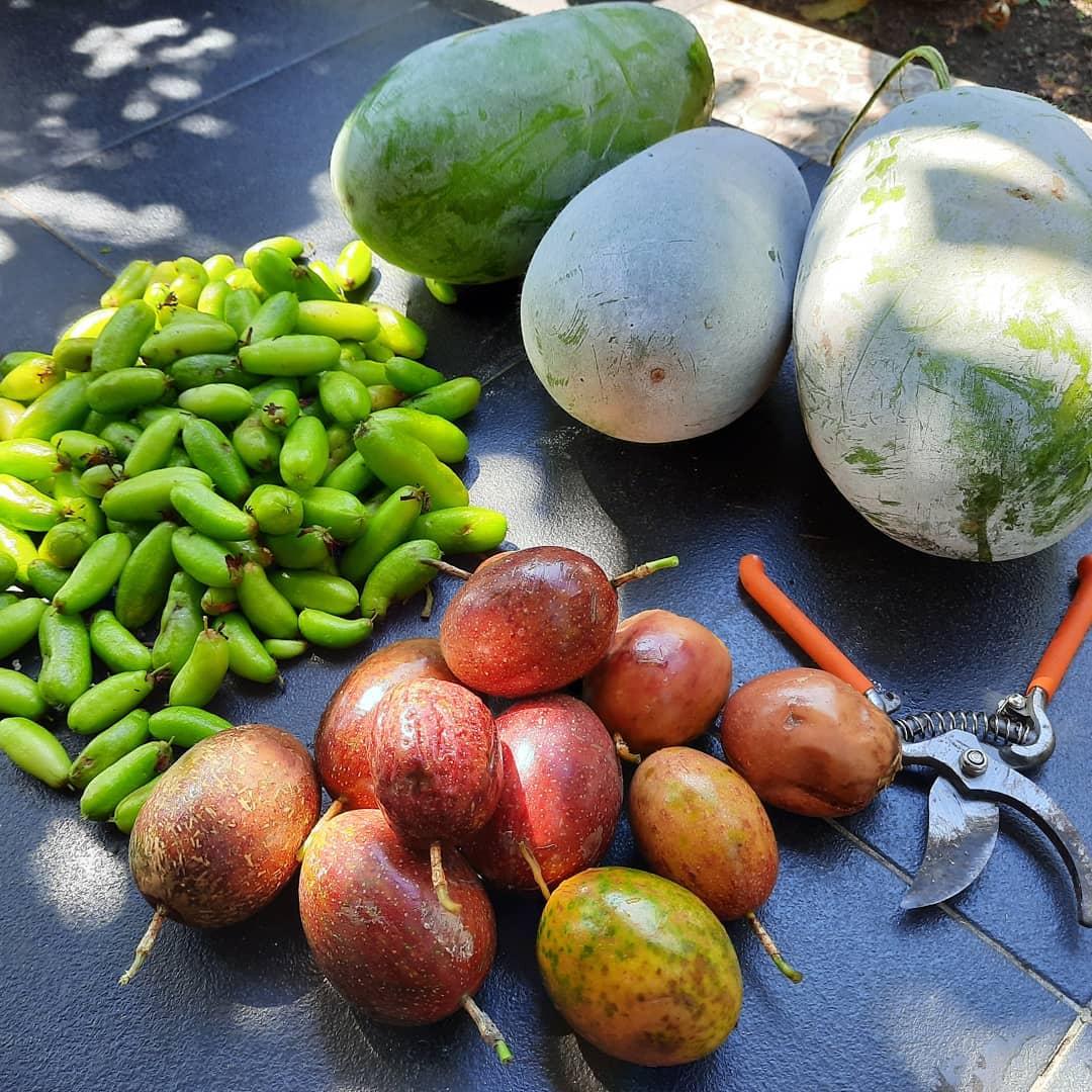 Buah dana sayur hasil panen dari kebun di Pesantern Ekologi Ath-Thaariq, yang ditanam secara organik. Foto: dari Facebook Nissa Wargadipura