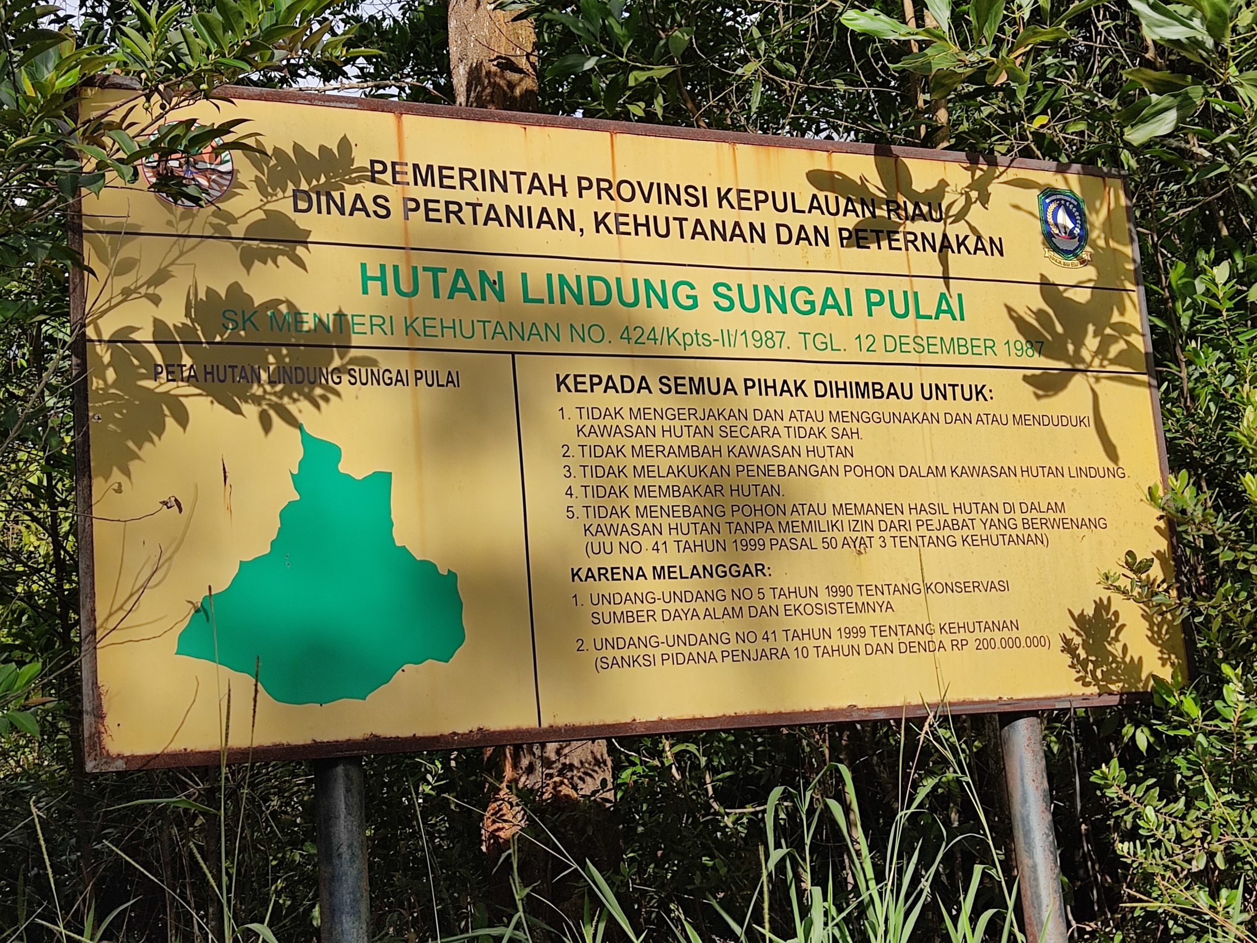 Plang hutan lindung dengan sekitar banyak tanaman sawit. Foto: Yogi Eka Sahputra /Mongabay Indonesia