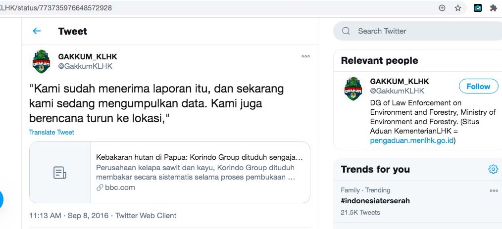 Screenshot respon Gakum KLHK atas investigasi terhadap Korindo pada 2016