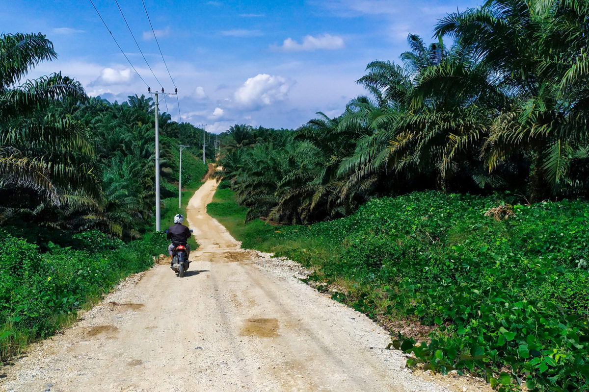 Jalan menuju Baribi. Foto: Agus Mawan/ Mongabay Indonesia