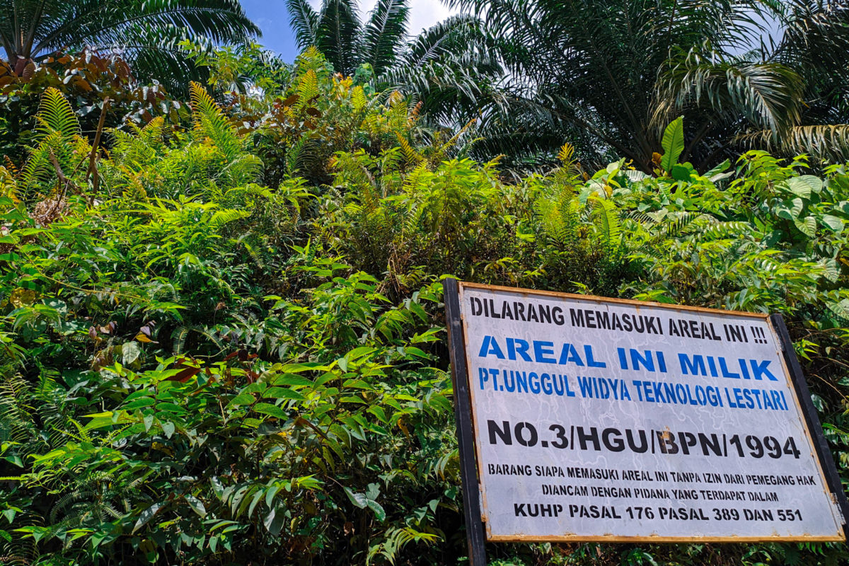 Papan peringatan PT Unggul di salah satu kebun sawit perusahaan ini. Foto: Agus Mawan/ Mongabay Indonesia