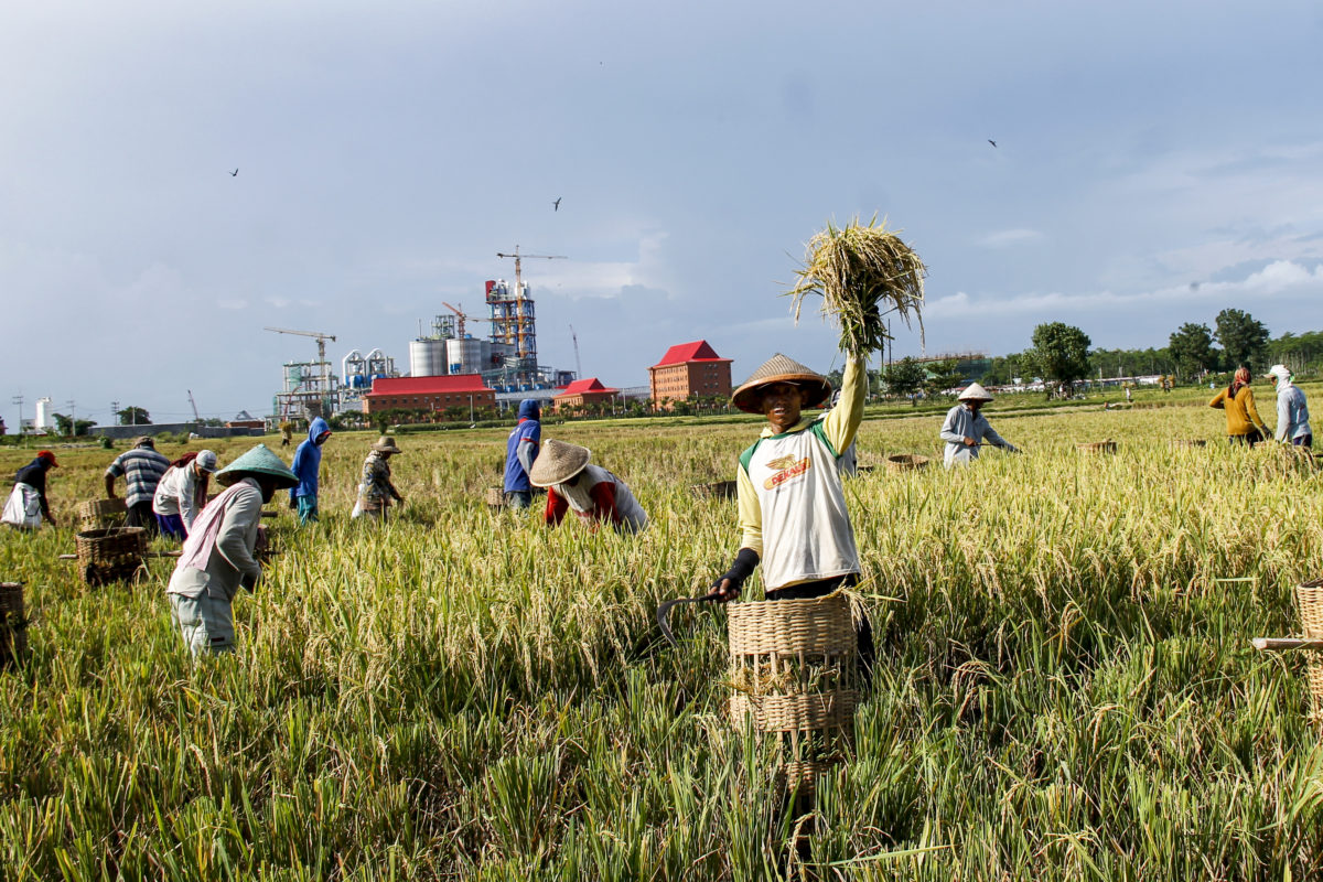 Potret petani berlatarkan Pabrik Semen milik PT Imasco Asiatic pada 30 April 2020. Foto: Vj Lie