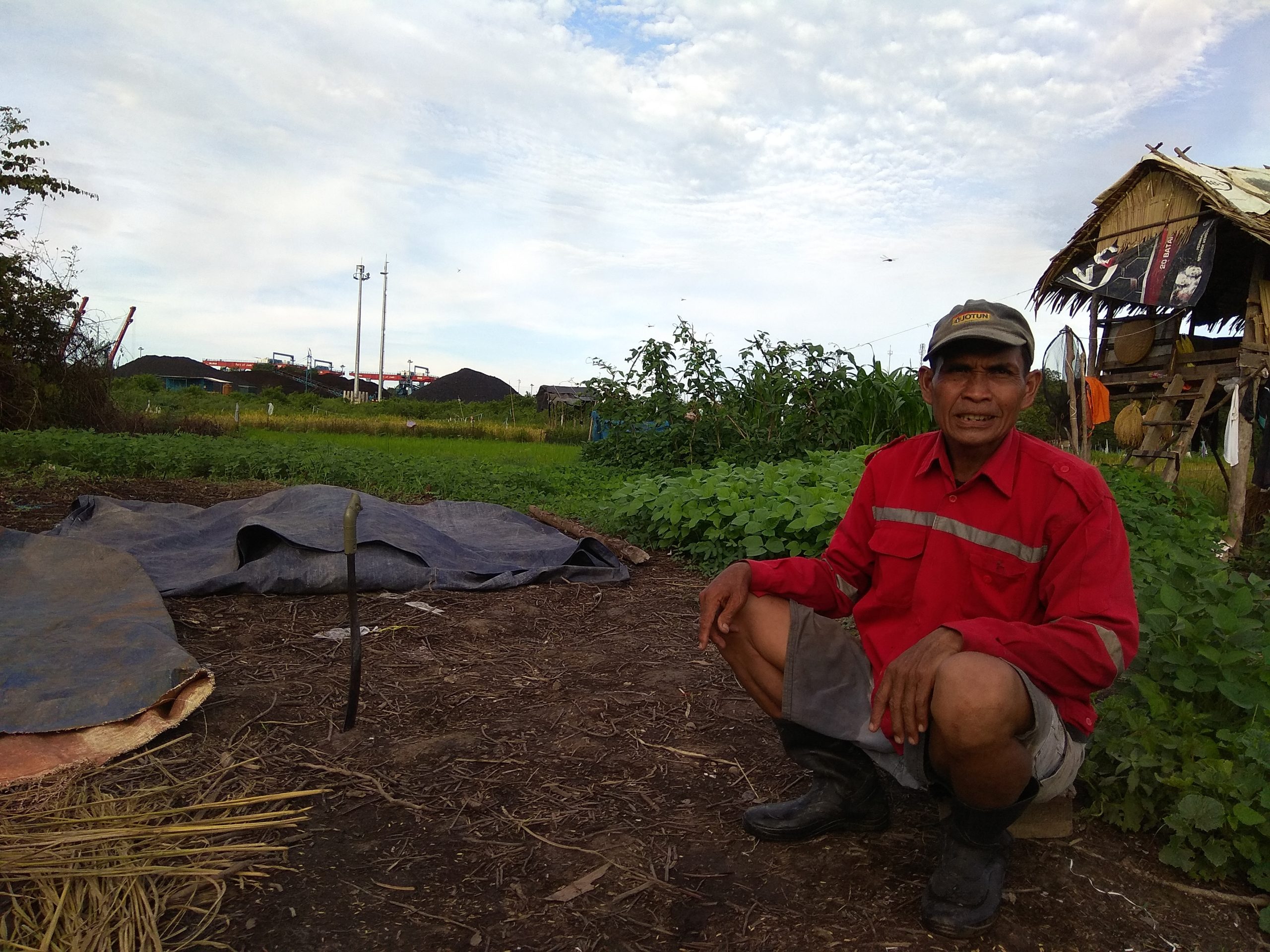 Temon, petani di Desa Talang Duku. Sawah keluarga telah dijual ke PT Pelabuhan Indonesia II Cabang Jambi. Namun sampai sekarang sawah masih boleh dia garap. FotoL Yitno Suprapto/ Mongabay Indonesia