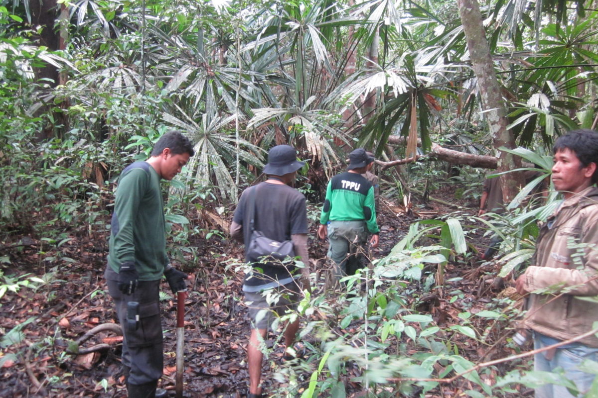 Tim gabungan Taman Nasional Berbak Sembilang sedang melakukan monitoring dalam kawasan terkait lokasi harimau. Foto: Jaka Hendra Baittri/Mongabay Indonesia