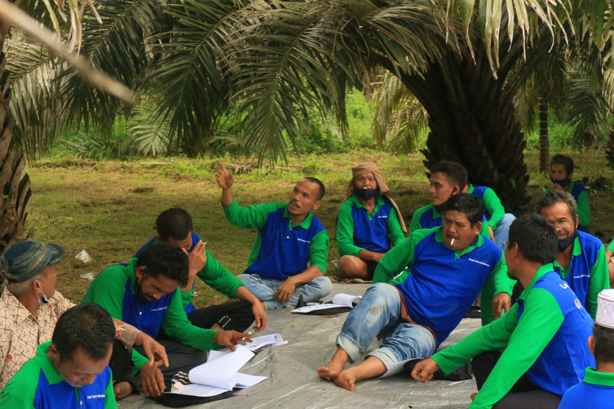 Para petani ikut Sekolah Lapang, belajar tata kelola kebun sawit. Foto: Masdalena Napitupulu