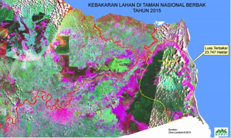 Dari luasan itu perusahaan dan kebun masyarakat Dusun Sungai Palas termasuk di dalamnya. Ia tampak pada peta PRIMS