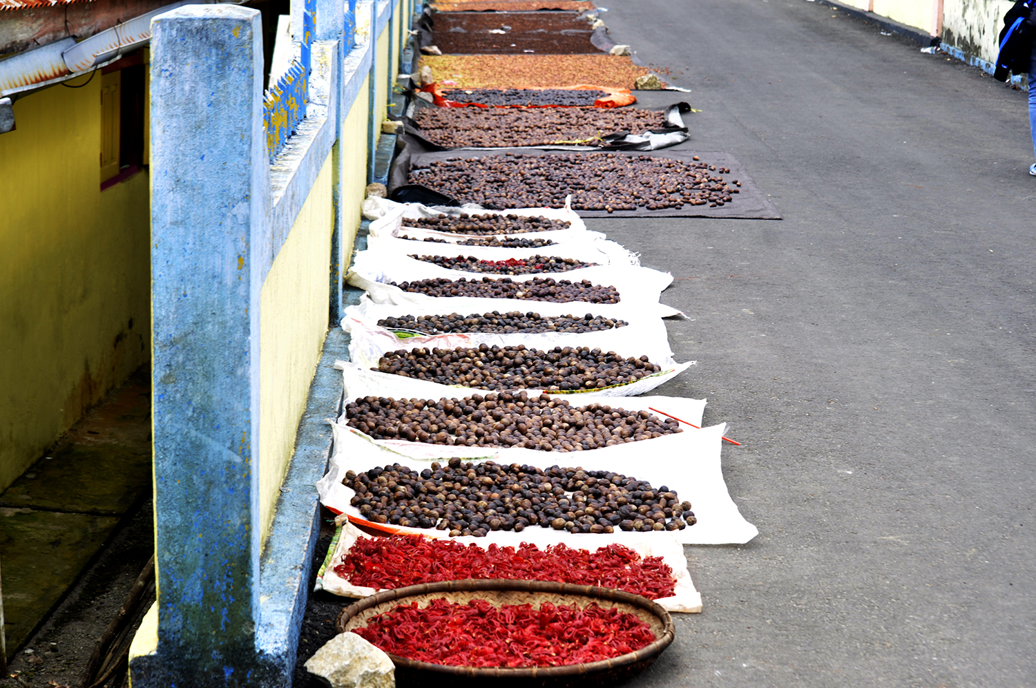 Jemur cengkih, pala dan fuli (bagian dari buah pala), hasil dari KPH Ternate-Tidore di Kampung Kalaode. Foto: Mahmud Ichi/ Mongabay Indonesia